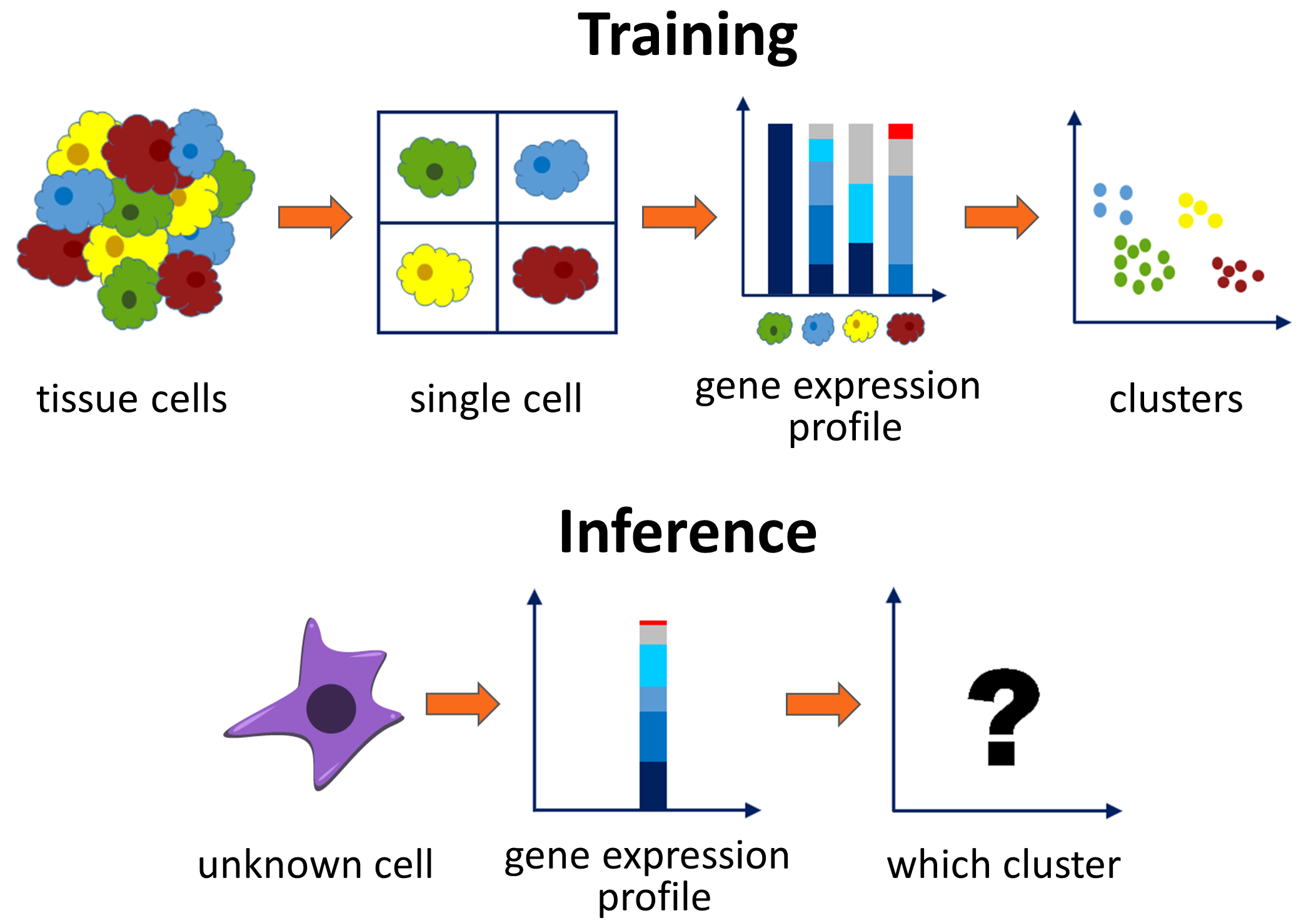 single cell classification overview
